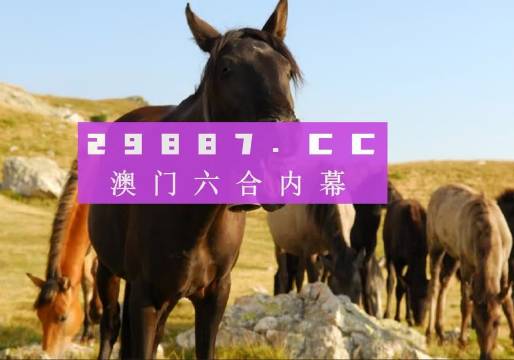 监控设备 第18页