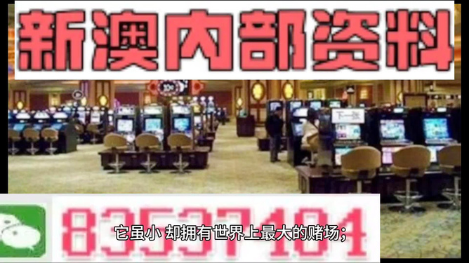 2024新澳门精准资料免费提供下载,精细解答分析解释现象_典藏款7.793