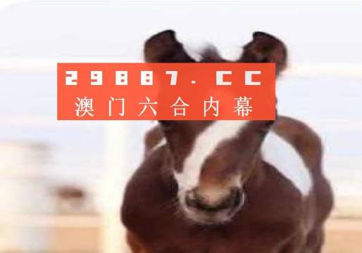 澳门一肖一码100准,接头解答解释落实_终端集9.691