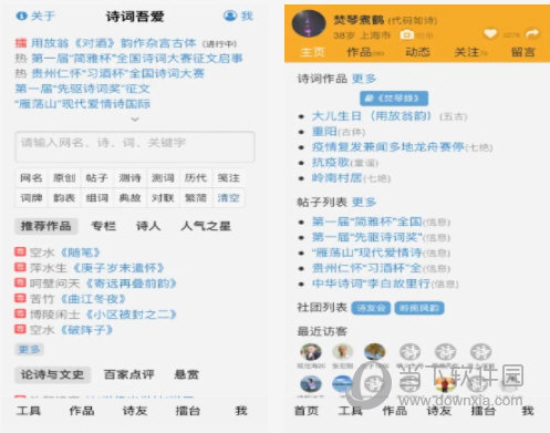 澳门平特一肖100%准资点评,稳定性操作方案分析_12K7.266