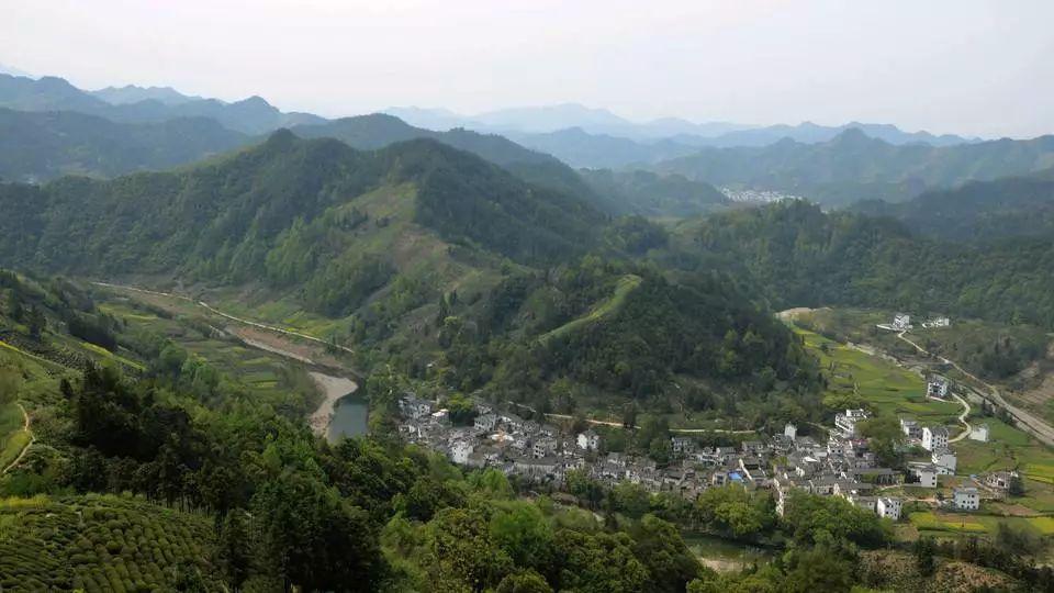 百岁爷爷的美食分享，长寿健康之旅的新吃播体验